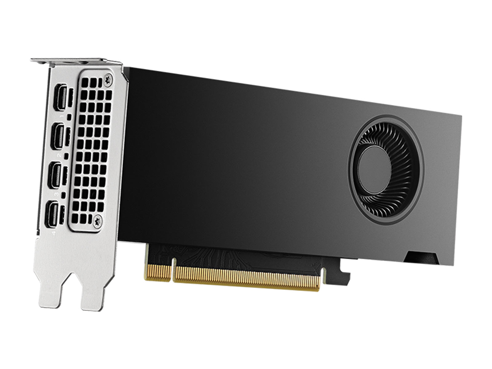 NVIDIA RTX 2000 ADA 16GB Cartão gráfico (PG192B)